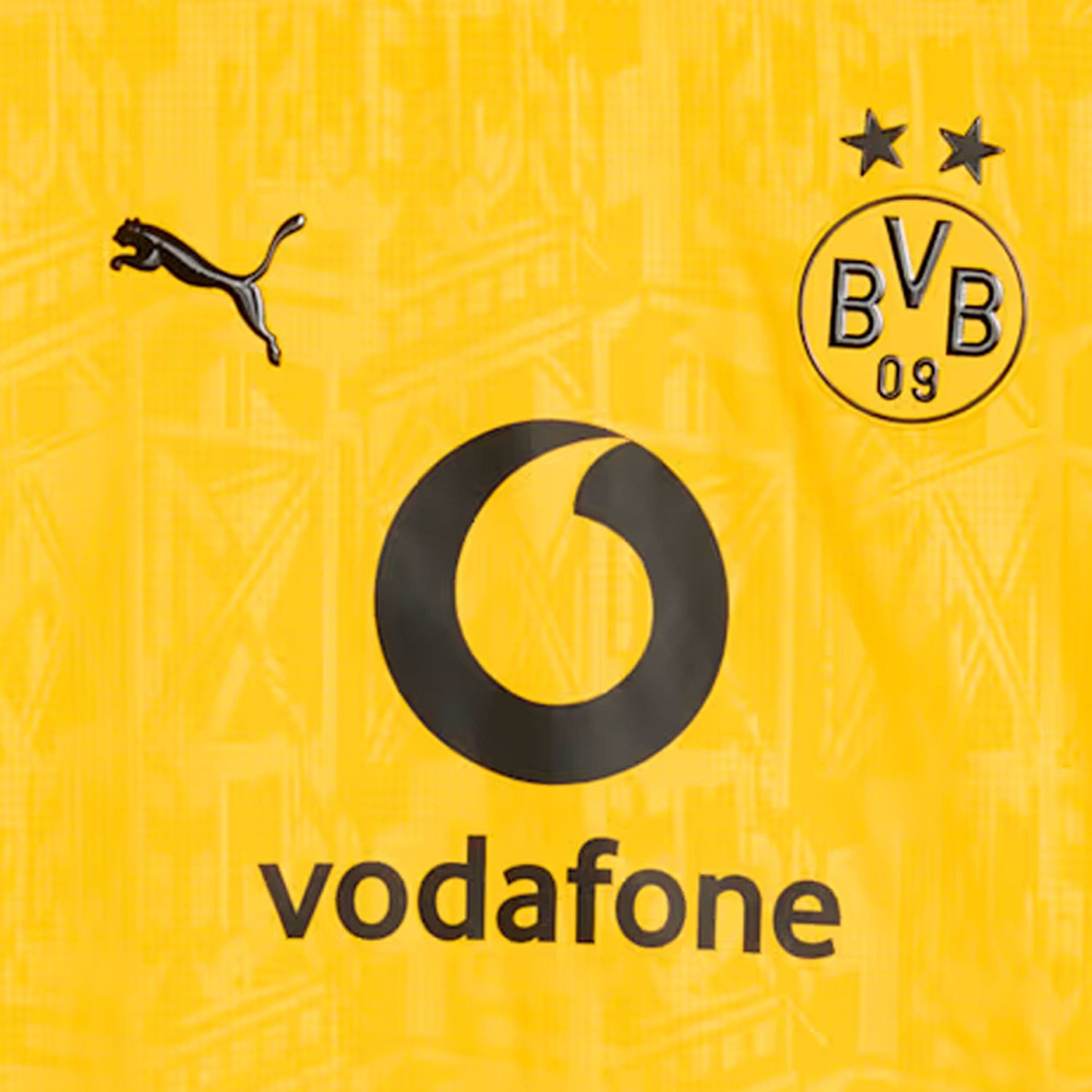 PUMA Borussia Dortmund Men&