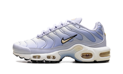 Air Max Plus WMNS "Daybreak" DZ3670 004