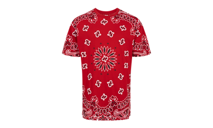 Hanes Bandana Tagless Tees (2 Pack) "FW22" SU12150