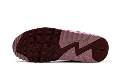 AIR MAX 90 SE WMNS "NEAPOLITAN" HM9451 600