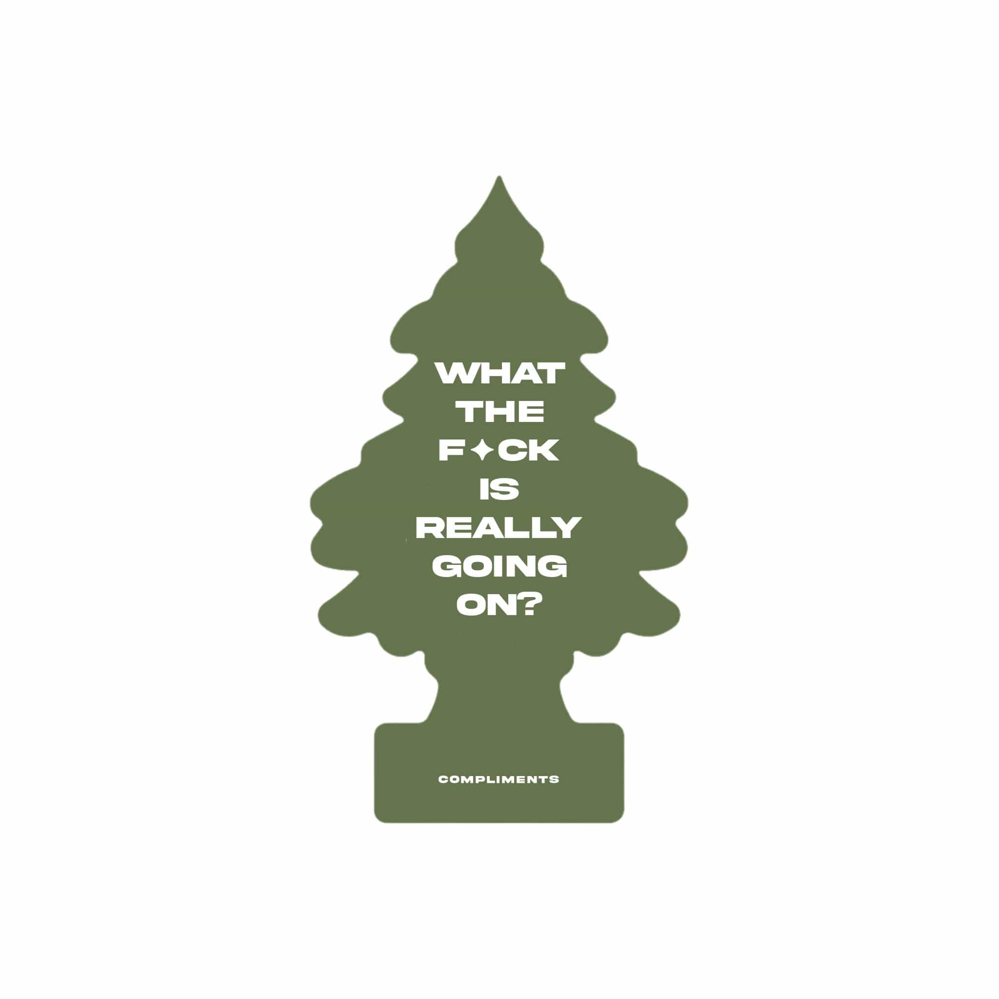 Compliments What The 2-Pack Air Fresheners