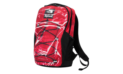 Printed Borealis Trompe L&