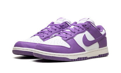 Dunk Low WMNS "Black Raspberry" DD1873 108