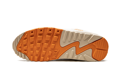 AIR MAX 90 SE WMNS "Phantom Light Curry" DQ8593 001