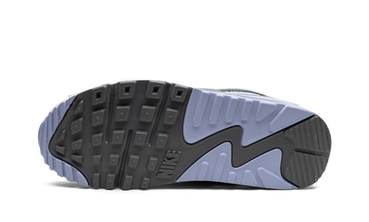 AIR MAX 90 WMNS "Cobalt Bliss" FB8570 100