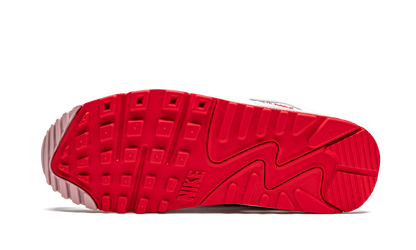 AIR MAX 90 WMNS "Valentines Day 2021" DD8029 100