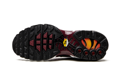 AIR MAX PLUS MNS WMNS "Sisterhood" DO6115 500