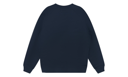 1619 Crewneck Sweater "Blue" DT823