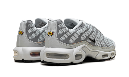 Air Max Plus WMNS "Light Silver" FV8480 002