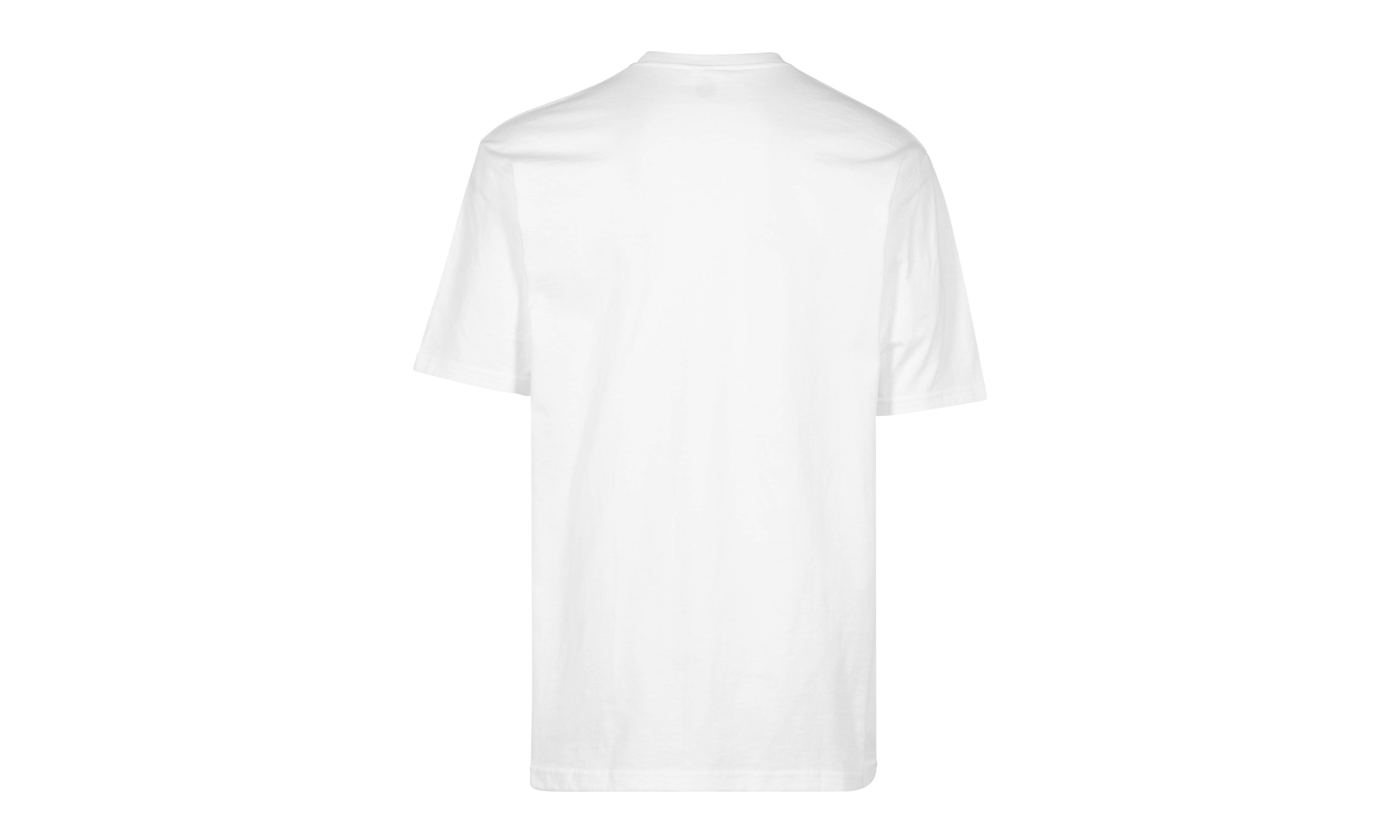 Box Logo Tee "FW23" SU100186