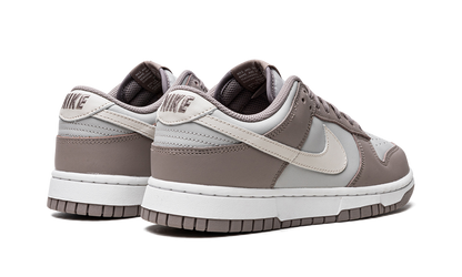 DUNK LOW WMNS "Moon Fossil" FD0792 001