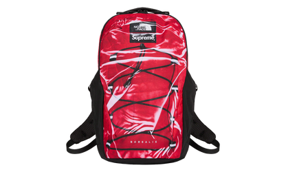 Printed Borealis Trompe L&