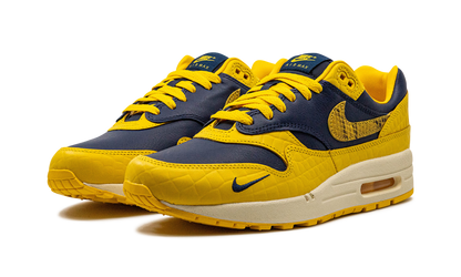AIR MAX 1 PRM MNS WMNS "Co.jp Head to Head" FJ5479 410